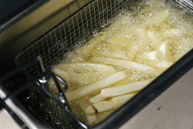 harga mesin deep fryer